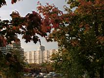 IMG_4649-cut.jpg