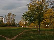 IMG_4652-cut.jpg