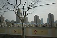 IMG_5699.JPG