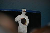 IMG_5953.JPG