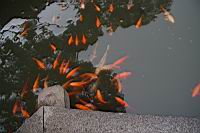 new-IMG_0101.JPG