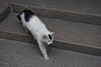 new-IMG_0117.JPG
