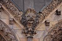 IMG_4147.JPG