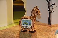 IMG_4521.JPG