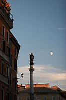 IMG_8446.jpg