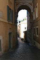IMG_8487.JPG
