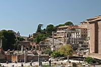 IMG_8533.JPG
