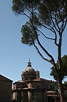 IMG_8534.JPG
