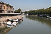 IMG_8656.JPG