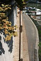 IMG_8657.JPG
