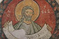 IMG_8695.JPG