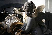 IMG_8814.JPG