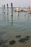 IMG_8874.JPG