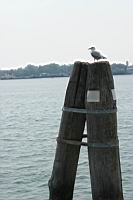 IMG_8896.JPG