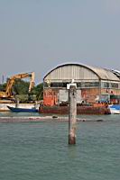 IMG_8897.JPG