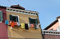IMG_8969.JPG