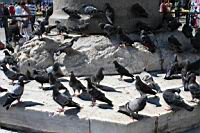 IMG_9055.JPG