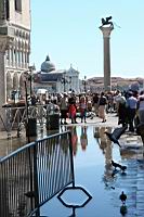IMG_9078.JPG