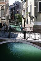 IMG_9108.JPG