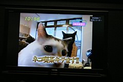 03-CEATEC23.JPG