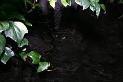 05-Dinner05.JPG