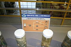 03-METEC50.JPG
