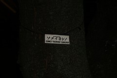 06-Dinner18.JPG