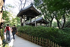 01-Tokyo-Narita01.JPG