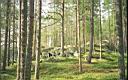 Film-Lesha01-14.jpg