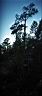 IMG0001.jpg