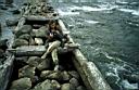 Film-Lesha05-03.jpg