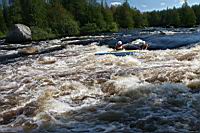IMG_0941.JPG