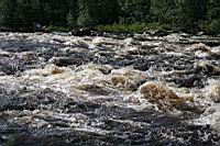 IMG_1246.JPG