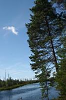 IMG_0024.jpg