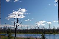 IMG_0026.JPG