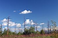 IMG_0027.JPG