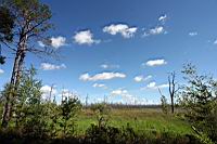 IMG_0029.JPG