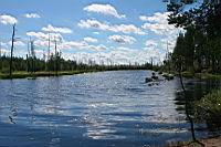 IMG_0035.JPG