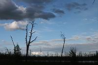 IMG_0183.JPG