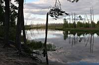 IMG_0217.JPG