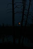 IMG_0235.jpg