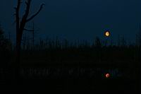 IMG_0246.JPG