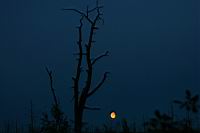 IMG_0247.JPG