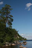 IMG_0259.jpg
