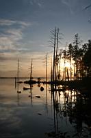 IMG_0273.jpg