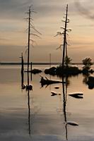 IMG_0289.JPG
