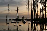 IMG_0291.JPG