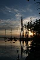 IMG_0293.JPG