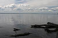 IMG_0373.JPG