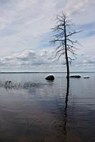 IMG_0379.jpg